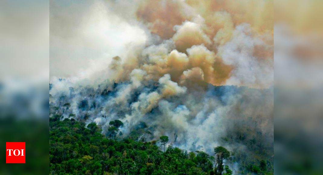 Black Jesus born in burnt Amazon at Brazil church manger - Times of India