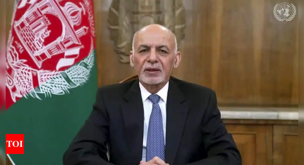 Afghanistan welcomes US move to review deal with Taliban - Times of India