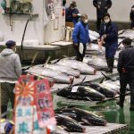 Pandemic overshadows Japan’s New Year tuna auction – Times of India