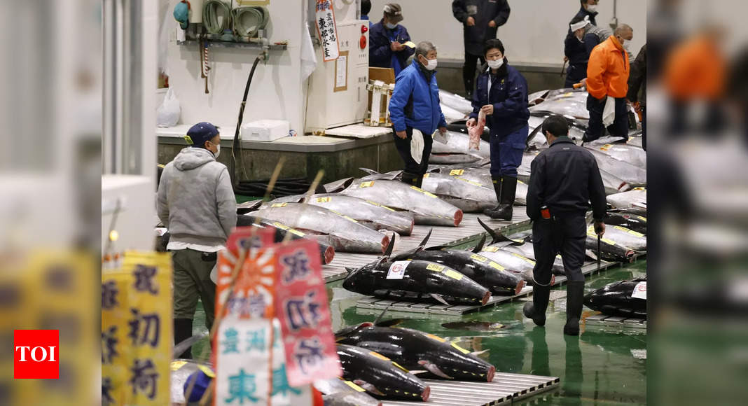 Pandemic overshadows Japan's New Year tuna auction - Times of India