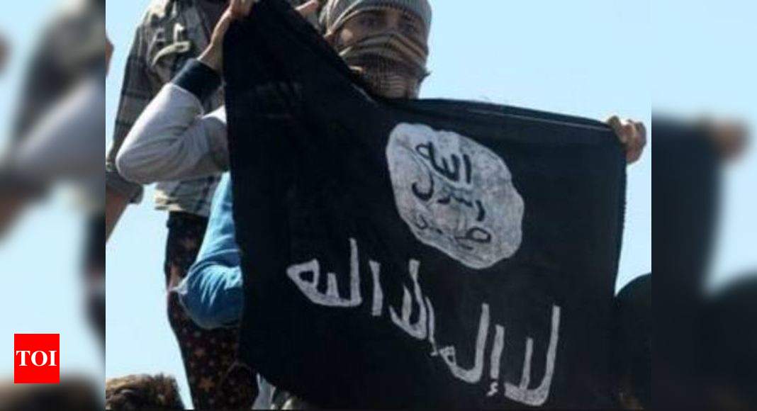 ISIS could regain capacity to orchestrate attacks in 2021: UN official - Times of India