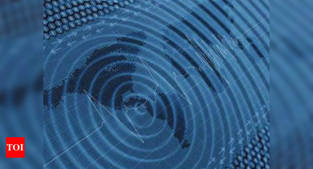 6.2 magnitude earthquake hits central Indonesia, no tsunami alert issued - Times of India