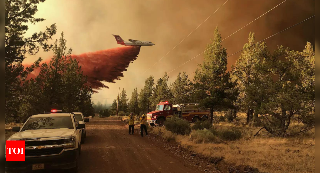 Extreme weather fuels Oregon wildfires; outside help sought - Times of India