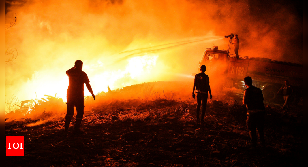 Turkey Wildfires: Death toll in wildfires that hit southern Turkey rises to 4 | World News - Times of India