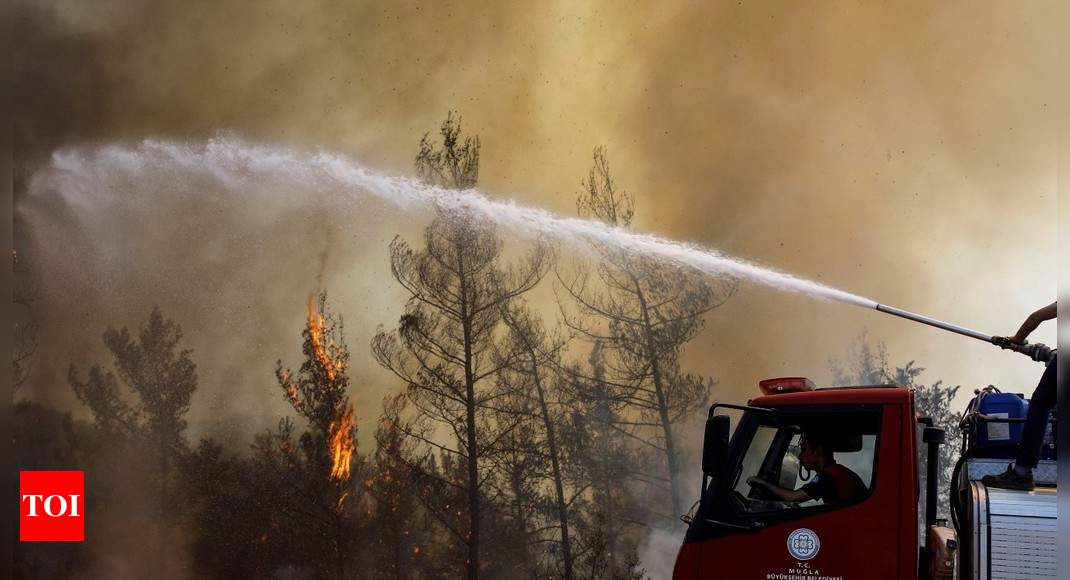 Death toll in Turkey wildfires rises to eight, coastal resorts affected - Times of India