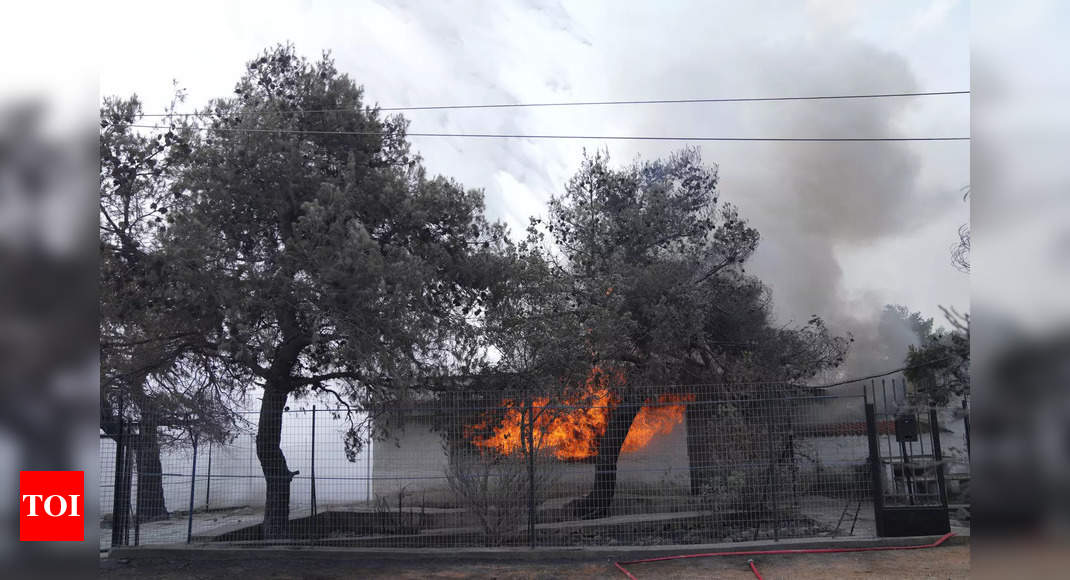 Greece wildfires: Another blaze breaks out on Evia island - Times of India