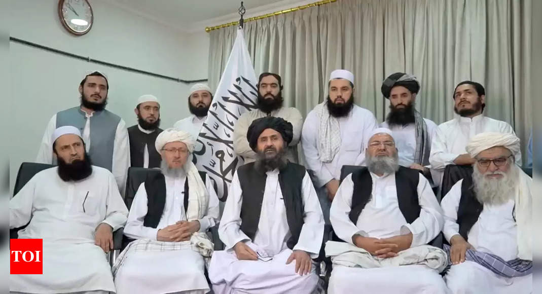 Taliban news: Taliban announce 'general amnesty' for govt ...