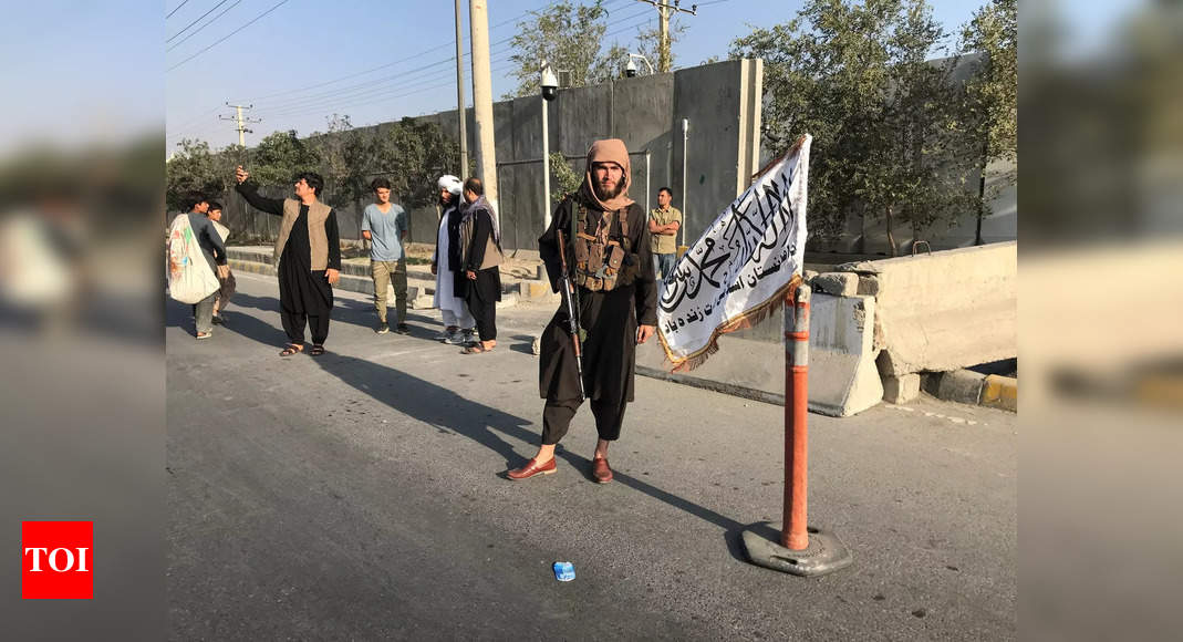 Taliban takeover prompts fears of a resurgent al-Qaida - Times of India