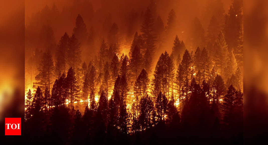 Wildfires threaten rural towns in Montana, California - Times of India